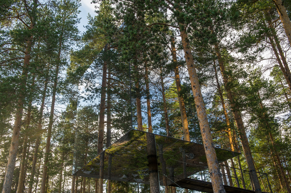 Tree Hotel - Sweden