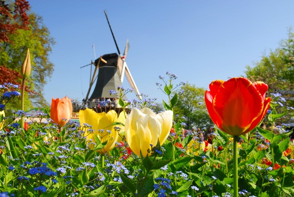 amsterdam keukenhof