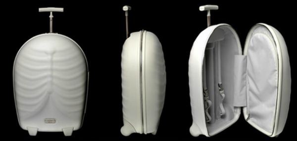 alexander mcqueen samsonite luggage