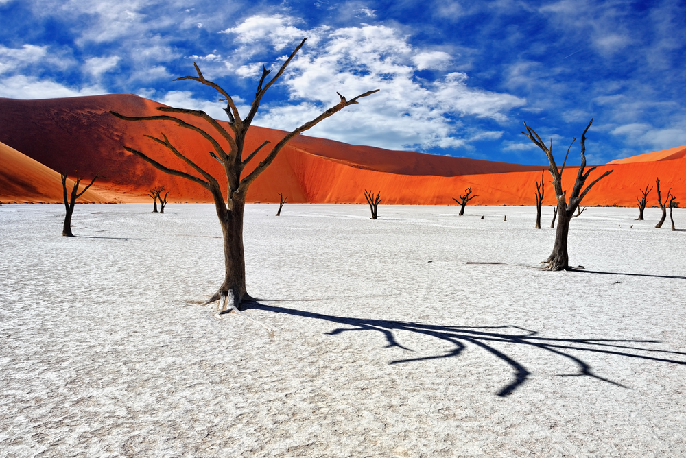 Dead Vlei in Namibia