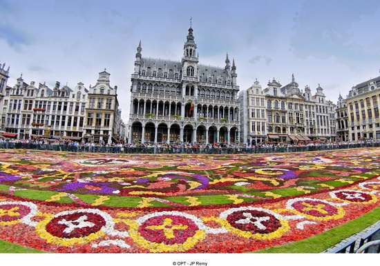 flower carpet brussels belgium