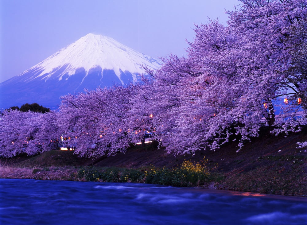 Mount Fuji