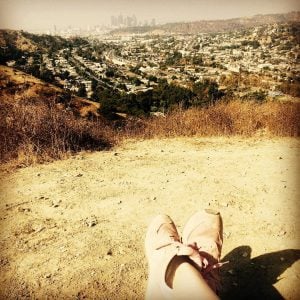 an aerial view of the LA skyline