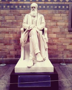 a statue of charles darwin