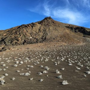 a barren hill in the galapagos islands