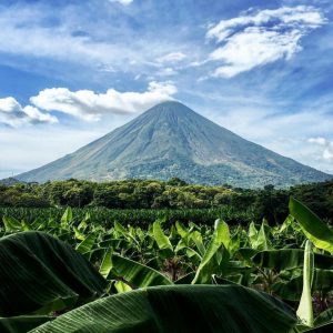 a banana plantation with mountain backdrop in nicaragua