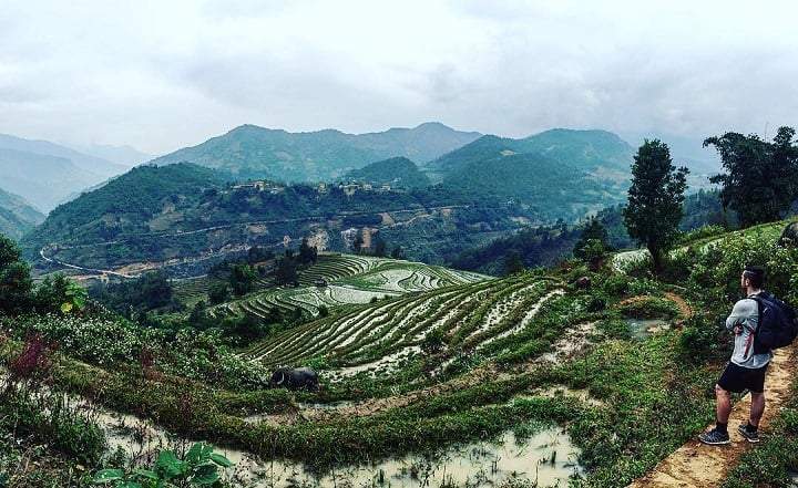 Tommy Walker rice terraces sapa vietnam