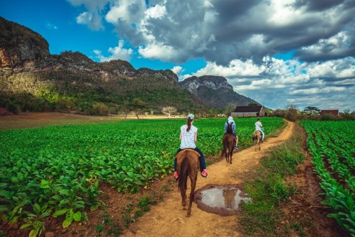 horse riding at vinales - cuba