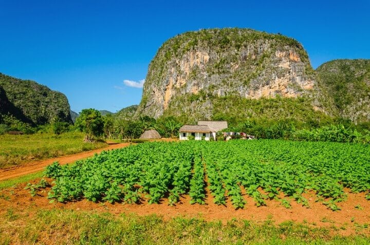 mogotes on vinales valley in cuba