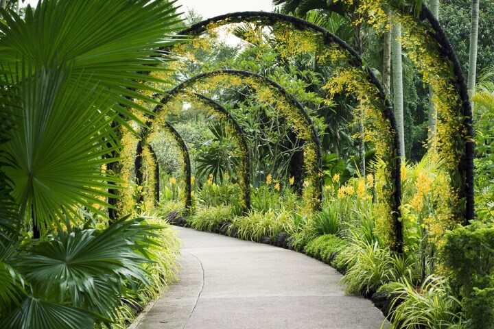 Singapore Botanical Gardens