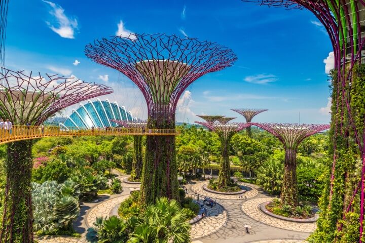 gardens by the bay _ singapore