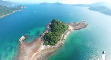 Why You Should Experience Wild Hong Kong