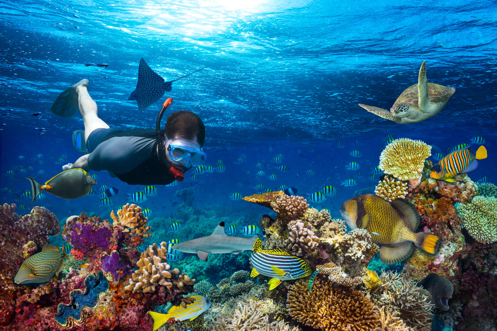 Snorkeling in Tenerife