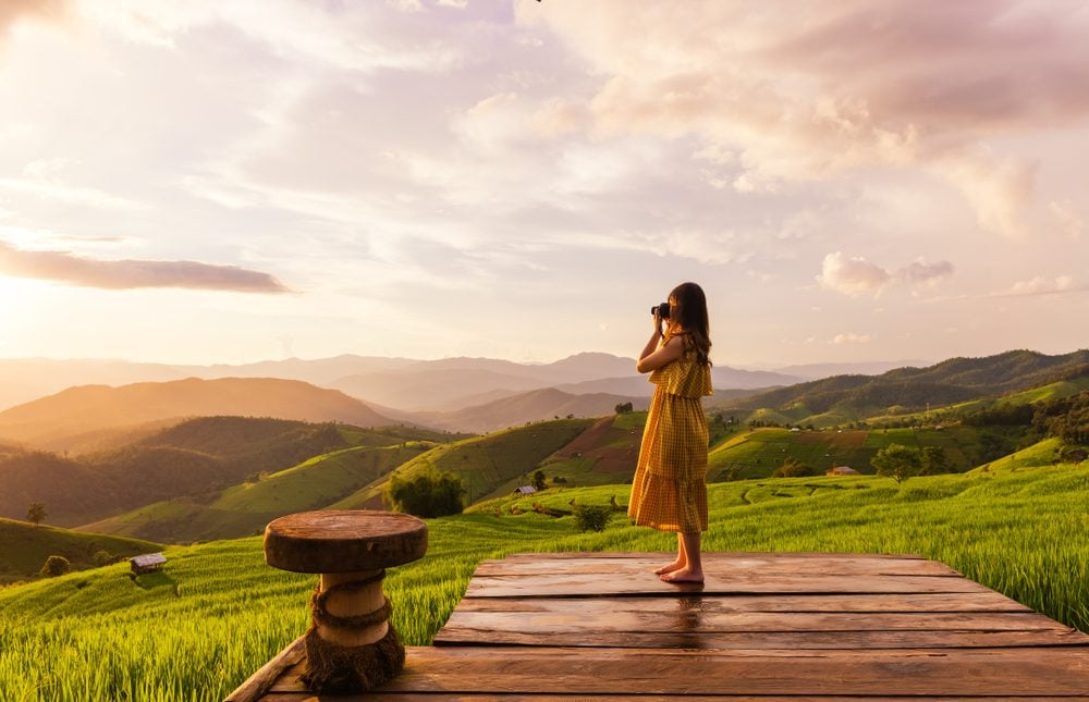 Rice Fields in Chiang Mai