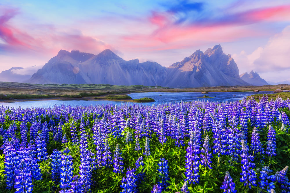 Famous,Grass,Hills,Near,Stokksnes,Mountains,,Iceland